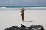 south-america-equador-equador-galapagos-tortuga-bay-10-galeria-900x600px.jpg