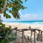 2021-05-06 07.50.17 2567449198923689063_270753604.jpg