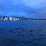 2019-07-24 08.31.24 2094916122628436972_270753604.jpg