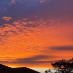 2021-12-20 07.29.37 2732717870403059033_5477613788.jpg