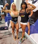 1234119 (Medium).jpg