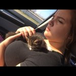 2018-02-03 11.17.24 1706730334589848076_180022941.jpg