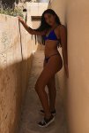 sexy-maltese-girl-318.jpg