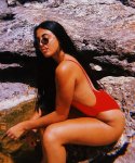 sexy-maltese-girl-360.jpg