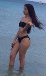 sexy-maltese-girl-487.jpg