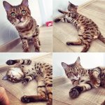 Instagram photo (53).jpg