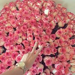 Instagram photo (56).jpg