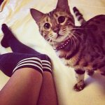 Instagram photo (84).jpg