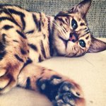 Instagram photo (98).jpg