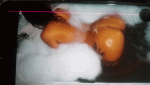 neisha_2.gif
