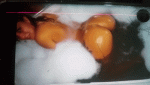 neisha_5.gif