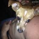 celebjared.net-Megan Wilson-(420).jpg