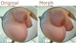 Original and Morph 1.jpg