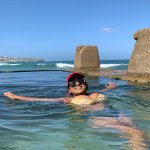 [image] - 3376955.jpg