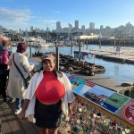 [image] - 8184368.jpg