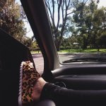 Madison (28) - Copy.jpg