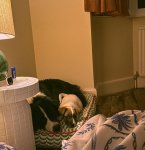 446917207_18441767398032532_409006508492686994_n (1).jpg