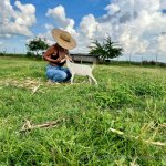 8bd81c747ac04e396121333c7a896f997936eb56d614dee4f383cdc80c61d723 (1).jpg