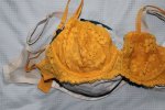 bra-compare-11-32D-on-32J.jpg