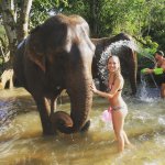 Taylor Atelian (9).jpg