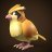 pervypidgey
